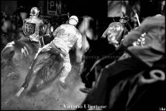 Fantini e Cavalli al Palio di Asti - fotografia di Vittorio Ubertone