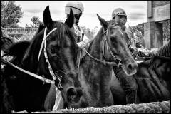 Fantini e Cavalli al Palio di Asti - fotografia di Vittorio Ubertone