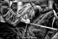 Fantini e Cavalli al Palio di Asti - fotografia di Vittorio Ubertone