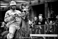 Fantini e Cavalli al Palio di Asti - fotografia di Vittorio Ubertone