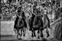 Fantini e Cavalli al Palio di Asti - fotografia di Vittorio Ubertone