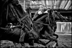 Fantini e Cavalli al Palio di Asti - fotografia di Vittorio Ubertone