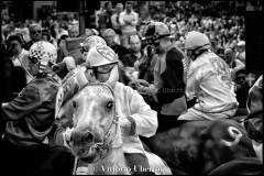 Fantini e Cavalli al Palio di Asti - fotografia di Vittorio Ubertone