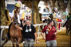 PALIO DI ASTI anno 2024 - 1 settembre 2024 le batterie e la finale - fotografia di Vittorio Ubertone  https://www.400asa.photo - https://www.saporidelpiemonte.net