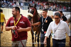 PALIO DI ASTI anno 2024 - 1 settembre 2024 le batterie e la finale - fotografia di Vittorio Ubertone  https://www.400asa.photo - https://www.saporidelpiemonte.net