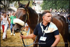 PALIO DI ASTI anno 2024 - 1 settembre 2024 le batterie e la finale - fotografia di Vittorio Ubertone  https://www.400asa.photo - https://www.saporidelpiemonte.net