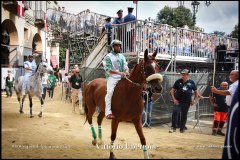 PALIO DI ASTI anno 2024 - 1 settembre 2024 le batterie e la finale - fotografia di Vittorio Ubertone  https://www.400asa.photo - https://www.saporidelpiemonte.net