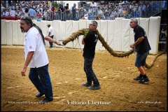 PALIO DI ASTI anno 2024 - 1 settembre 2024 le batterie e la finale - fotografia di Vittorio Ubertone  https://www.400asa.photo - https://www.saporidelpiemonte.net