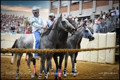 PALIO DI ASTI anno 2024 - 1 settembre 2024 le batterie e la finale - fotografia di Vittorio Ubertone  https://www.400asa.photo - https://www.saporidelpiemonte.net