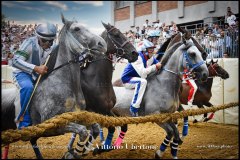 PALIO DI ASTI anno 2024 - 1 settembre 2024 le batterie e la finale - fotografia di Vittorio Ubertone  https://www.400asa.photo - https://www.saporidelpiemonte.net