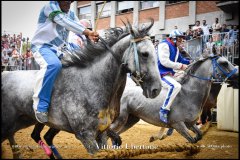 PALIO DI ASTI anno 2024 - 1 settembre 2024 le batterie e la finale - fotografia di Vittorio Ubertone  https://www.400asa.photo - https://www.saporidelpiemonte.net