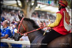 PALIO DI ASTI anno 2024 - 1 settembre 2024 le batterie e la finale - fotografia di Vittorio Ubertone  https://www.400asa.photo - https://www.saporidelpiemonte.net