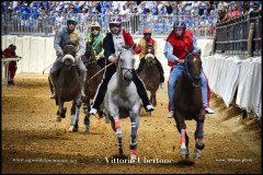 PALIO DI ASTI anno 2024 - 1 settembre 2024 le batterie e la finale - fotografia di Vittorio Ubertone  https://www.400asa.photo - https://www.saporidelpiemonte.net