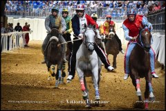 PALIO DI ASTI anno 2024 - 1 settembre 2024 le batterie e la finale - fotografia di Vittorio Ubertone  https://www.400asa.photo - https://www.saporidelpiemonte.net