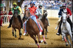 PALIO DI ASTI anno 2024 - 1 settembre 2024 le batterie e la finale - fotografia di Vittorio Ubertone  https://www.400asa.photo - https://www.saporidelpiemonte.net