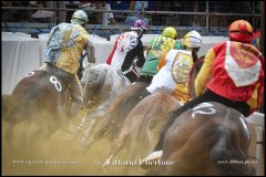 PALIO DI ASTI anno 2024 - 1 settembre 2024 le batterie e la finale - fotografia di Vittorio Ubertone  https://www.400asa.photo - https://www.saporidelpiemonte.net