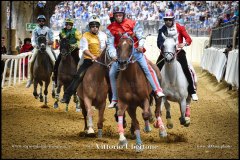 PALIO DI ASTI anno 2024 - 1 settembre 2024 le batterie e la finale - fotografia di Vittorio Ubertone  https://www.400asa.photo - https://www.saporidelpiemonte.net