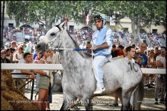 PALIO DI ASTI anno 2024 - 1 settembre 2024 le batterie e la finale - fotografia di Vittorio Ubertone  https://www.400asa.photo - https://www.saporidelpiemonte.net