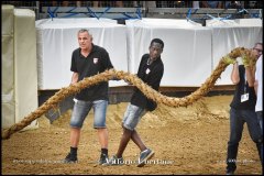 PALIO DI ASTI anno 2024 - 1 settembre 2024 le batterie e la finale - fotografia di Vittorio Ubertone  https://www.400asa.photo - https://www.saporidelpiemonte.net