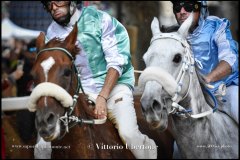 PALIO DI ASTI anno 2024 - 1 settembre 2024 le batterie e la finale - fotografia di Vittorio Ubertone  https://www.400asa.photo - https://www.saporidelpiemonte.net