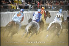 PALIO DI ASTI anno 2024 - 1 settembre 2024 le batterie e la finale - fotografia di Vittorio Ubertone  https://www.400asa.photo - https://www.saporidelpiemonte.net