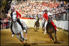 PALIO DI ASTI anno 2024 - 1 settembre 2024 le batterie e la finale - fotografia di Vittorio Ubertone  https://www.400asa.photo - https://www.saporidelpiemonte.net