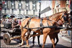 PALIO DI ASTI anno 2024 - 1 settembre 2024 il corteo storico - fotografia di Vittorio Ubertone https://www.400asa.photo -  https://www.saporidelpiemonte.net