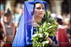 PALIO DI ASTI anno 2024 - 1 settembre 2024 il corteo storico - fotografia di Vittorio Ubertone https://www.400asa.photo -  https://www.saporidelpiemonte.net