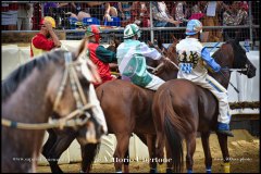 PALIO DI ASTI anno 2024 - 31 agosto 2024 piazza Alfieri Prove generali del Palio - fotografia di Vittorio Ubertone  https://www.400asa.photo - https://www.saporidelpiemonte.net