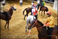 PALIO DI ASTI anno 2024 - 31 agosto 2024 piazza Alfieri Prove generali del Palio - fotografia di Vittorio Ubertone  https://www.400asa.photo - https://www.saporidelpiemonte.net