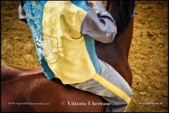 PALIO DI ASTI anno 2024 - 31 agosto 2024 piazza Alfieri Prove generali del Palio - fotografia di Vittorio Ubertone  https://www.400asa.photo - https://www.saporidelpiemonte.net