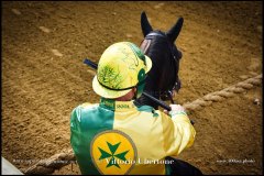 PALIO DI ASTI anno 2024 - 31 agosto 2024 piazza Alfieri Prove generali del Palio - fotografia di Vittorio Ubertone  https://www.400asa.photo - https://www.saporidelpiemonte.net