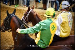 PALIO DI ASTI anno 2024 - 31 agosto 2024 piazza Alfieri Prove generali del Palio - fotografia di Vittorio Ubertone  https://www.400asa.photo - https://www.saporidelpiemonte.net