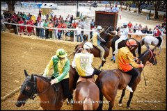 PALIO DI ASTI anno 2024 - 31 agosto 2024 piazza Alfieri Prove generali del Palio - fotografia di Vittorio Ubertone  https://www.400asa.photo - https://www.saporidelpiemonte.net