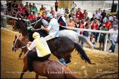 PALIO DI ASTI anno 2024 - 31 agosto 2024 piazza Alfieri Prove generali del Palio - fotografia di Vittorio Ubertone  https://www.400asa.photo - https://www.saporidelpiemonte.net