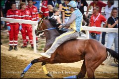 PALIO DI ASTI anno 2024 - 31 agosto 2024 piazza Alfieri Prove generali del Palio - fotografia di Vittorio Ubertone  https://www.400asa.photo - https://www.saporidelpiemonte.net