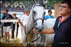 PALIO DI ASTI anno 2024 - 31 agosto 2024 piazza Alfieri Prove generali del Palio - fotografia di Vittorio Ubertone  https://www.400asa.photo - https://www.saporidelpiemonte.net