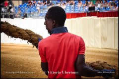 PALIO DI ASTI anno 2024 - 31 agosto 2024 piazza Alfieri Prove generali del Palio - fotografia di Vittorio Ubertone  https://www.400asa.photo - https://www.saporidelpiemonte.net