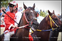 PALIO DI ASTI anno 2024 - 31 agosto 2024 piazza Alfieri Prove generali del Palio - fotografia di Vittorio Ubertone  https://www.400asa.photo - https://www.saporidelpiemonte.net