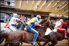 PALIO DI ASTI anno 2024 - 31 agosto 2024 piazza Alfieri Prove generali del Palio - fotografia di Vittorio Ubertone  https://www.400asa.photo - https://www.saporidelpiemonte.net