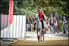 PALIO DI ASTI anno 2024 - 31 agosto 2024 piazza Alfieri Prove generali del Palio - fotografia di Vittorio Ubertone  https://www.400asa.photo - https://www.saporidelpiemonte.net