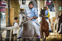 PALIO DI ASTI anno 2024 - 31 agosto 2024 piazza Alfieri Prove generali del Palio - fotografia di Vittorio Ubertone  https://www.400asa.photo - https://www.saporidelpiemonte.net