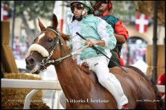 PALIO DI ASTI anno 2024 - 31 agosto 2024 piazza Alfieri Prove generali del Palio - fotografia di Vittorio Ubertone  https://www.400asa.photo - https://www.saporidelpiemonte.net