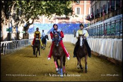 PALIO DI ASTI anno 2024 - 30 agosto 2024 piazza Alfieri Prove cavalli - fotografia di Vittorio Ubertone  https://www.400asa.photo - https:/www.www.saporidelpiemonte.net