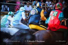 PALIO DI ASTI anno 2024 - 30 agosto 2024 piazza Alfieri Prove cavalli - fotografia di Vittorio Ubertone  https://www.400asa.photo - https:/www.www.saporidelpiemonte.net