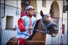 PALIO DI ASTI anno 2024 - 30 agosto 2024 piazza Alfieri Prove cavalli - fotografia di Vittorio Ubertone  https://www.400asa.photo - https:/www.www.saporidelpiemonte.net