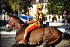 PALIO DI ASTI anno 2024 - 30 agosto 2024 piazza Alfieri Prove cavalli - fotografia di Vittorio Ubertone  https://www.400asa.photo - https:/www.www.saporidelpiemonte.net