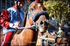 PALIO DI ASTI anno 2024 - 30 agosto 2024 piazza Alfieri Prove cavalli - fotografia di Vittorio Ubertone  https://www.400asa.photo - https:/www.www.saporidelpiemonte.net