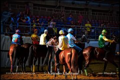 PALIO DI ASTI anno 2024 - 30 agosto 2024 piazza Alfieri Prove cavalli - fotografia di Vittorio Ubertone  https://www.400asa.photo - https:/www.www.saporidelpiemonte.net