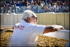 PALIO DI ASTI anno 2024 - 30 agosto 2024 piazza Alfieri Prove cavalli - fotografia di Vittorio Ubertone  https://www.400asa.photo - https:/www.www.saporidelpiemonte.net